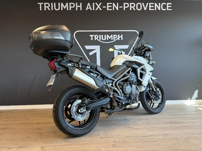 TIGER 800 XRT