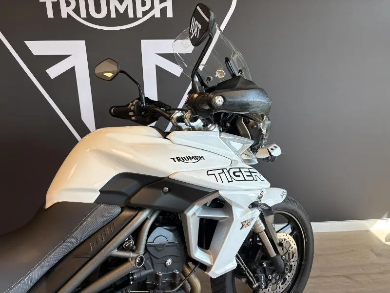 TIGER 800 XRT