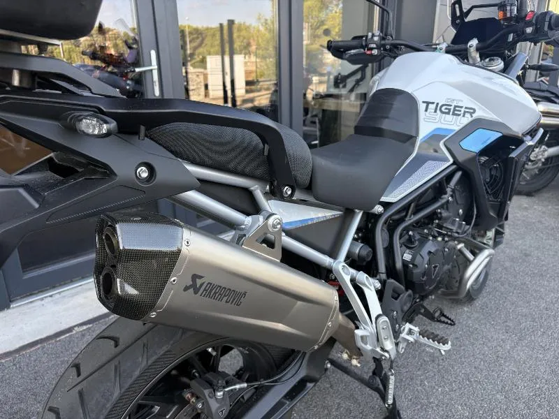 Tiger 900 Alpine Edition