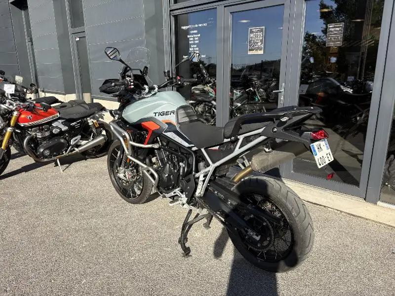 TIGER 900 Desert Edition