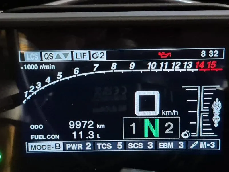 R1M