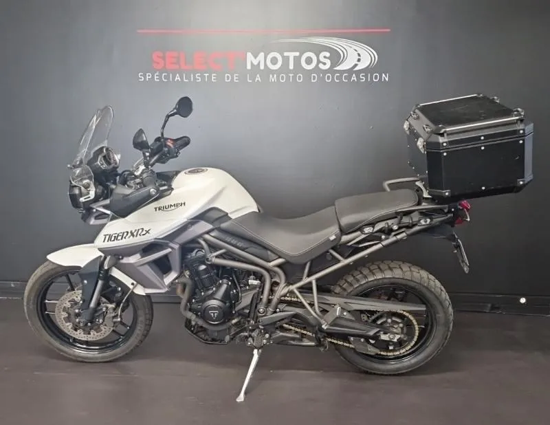 TIGER 800 XRX