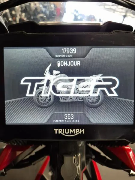 TIGER 900 GT ARAGON EDITION