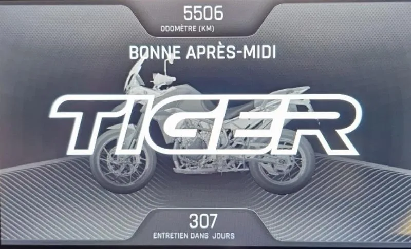Tiger 900 GT PRO