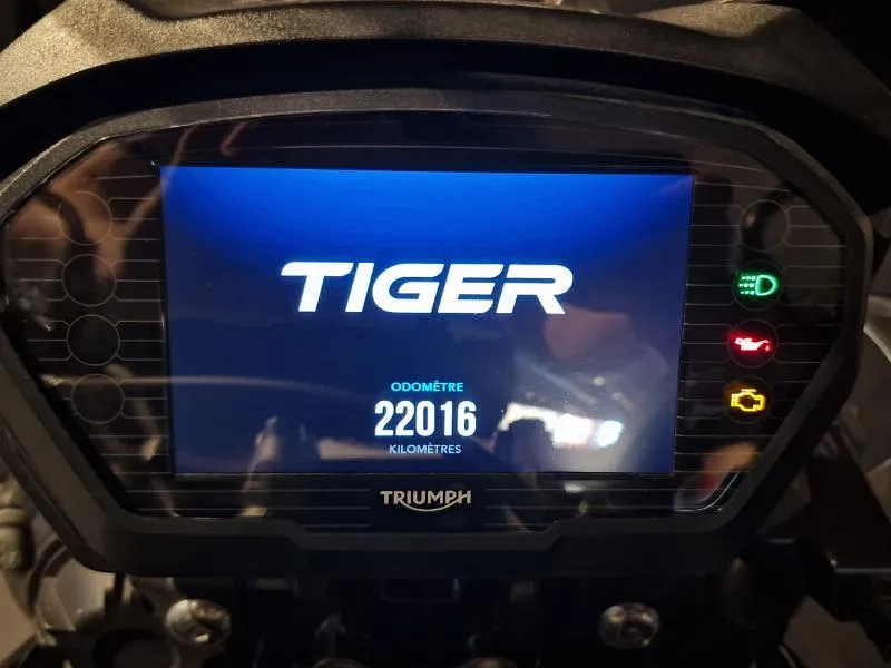 TIGER 800 XRX