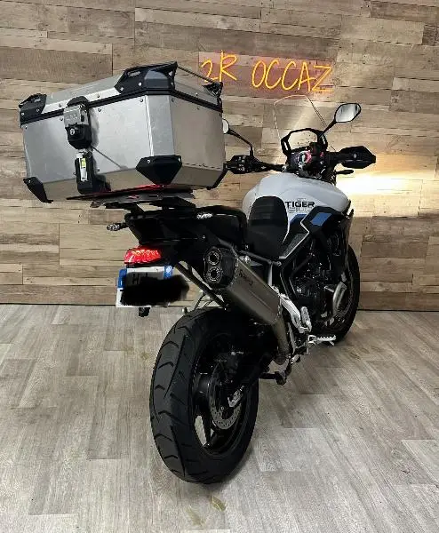 Tiger 900 Alpine Edition