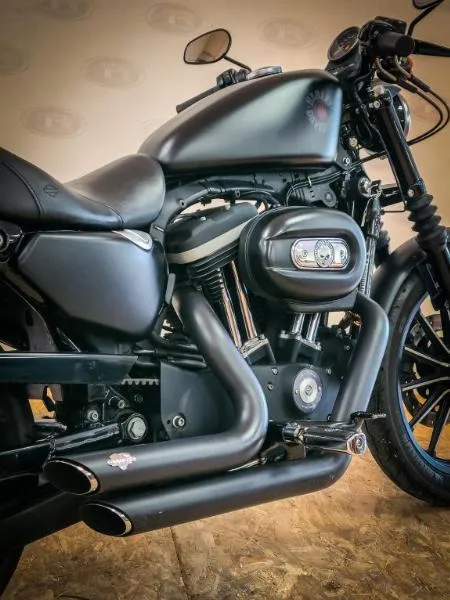 SPORTSTER IRON 883