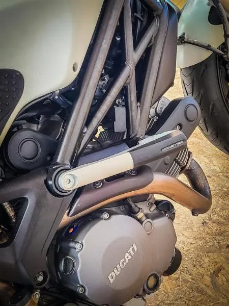 696 MONSTER