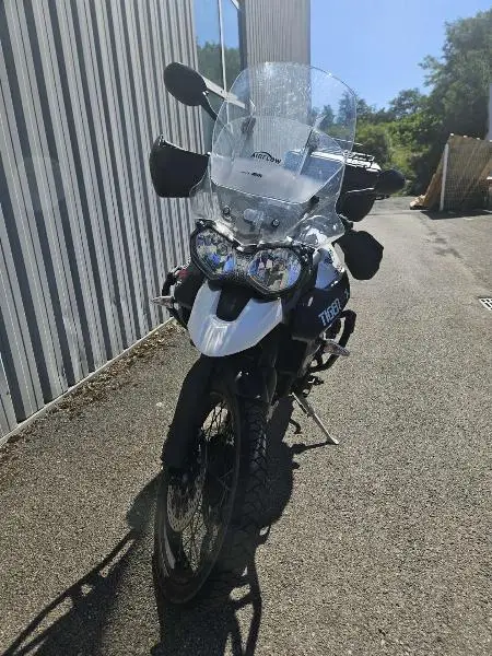 TIGER 800 XCX