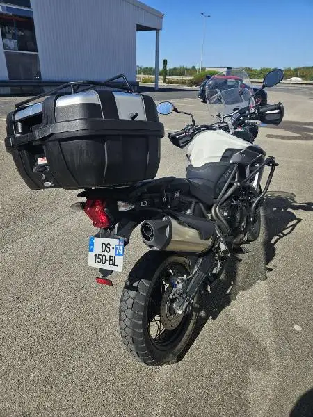 TIGER 800 XCX