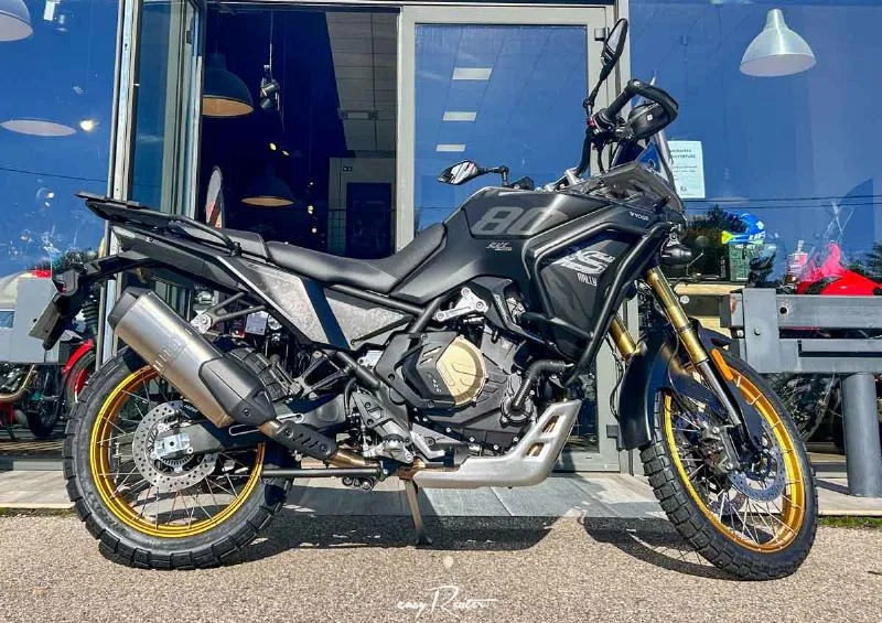 DS800X RALLY