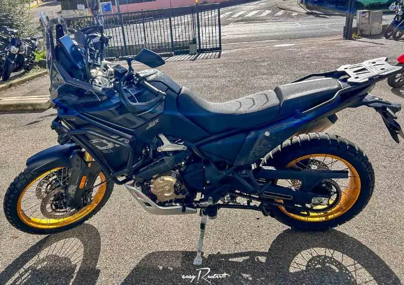 DS800X RALLY