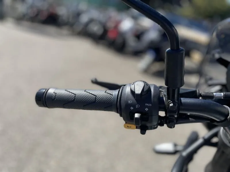 HIMALAYAN 450