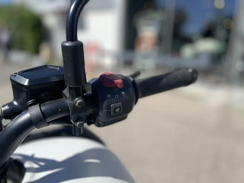 HIMALAYAN 450