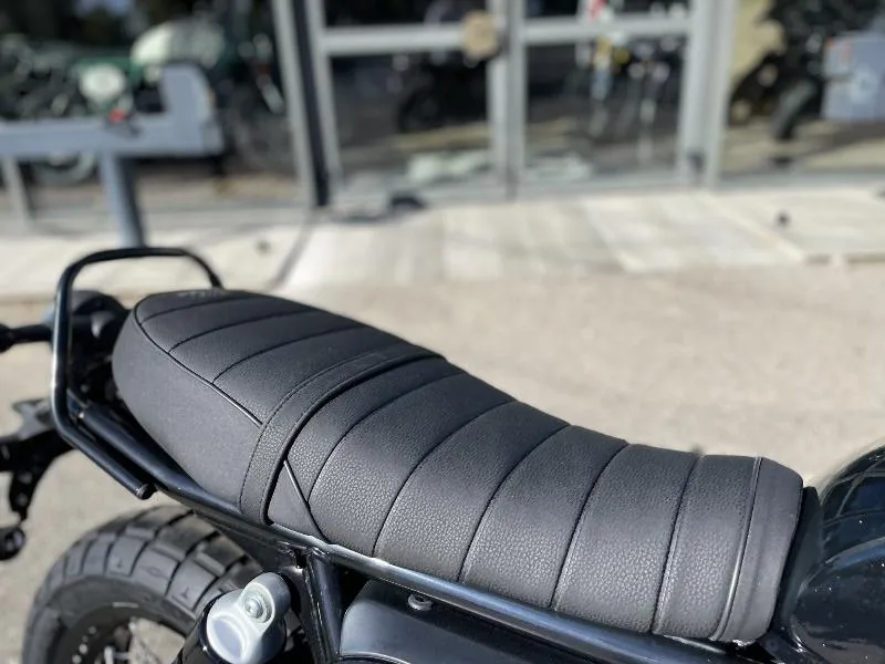 INTERCEPTOR BEAR 650