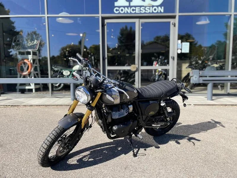 INTERCEPTOR BEAR 650