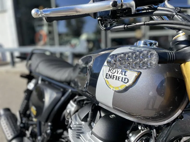 INTERCEPTOR BEAR 650