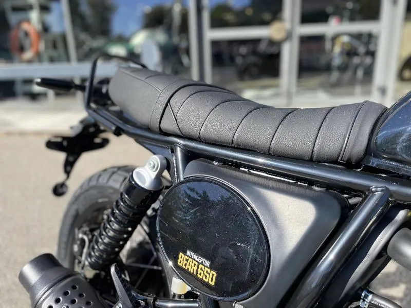 INTERCEPTOR BEAR 650