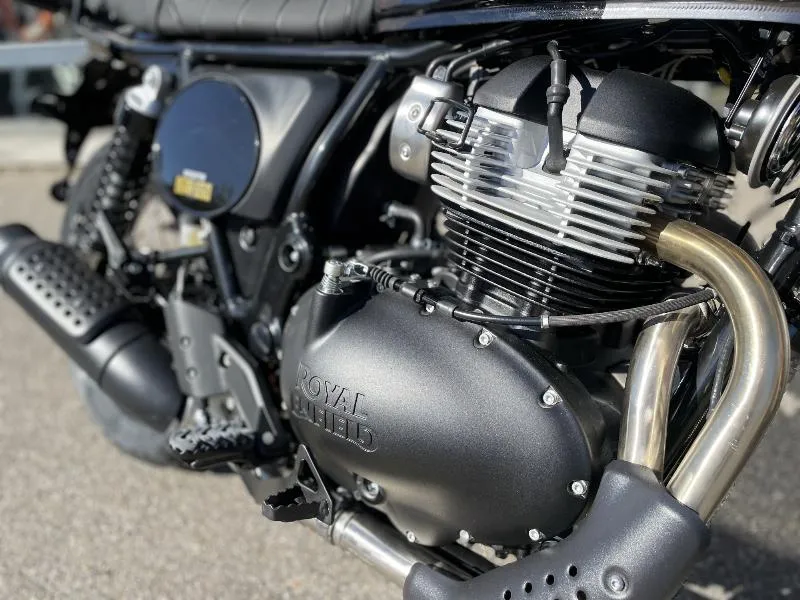 INTERCEPTOR BEAR 650