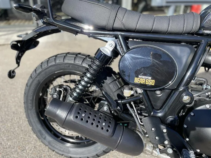 INTERCEPTOR BEAR 650