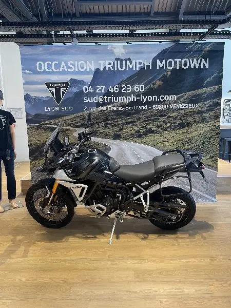 TIGER 900 RALLY PRO