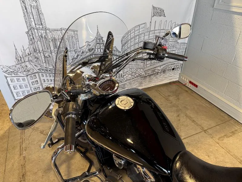 XVS 1300