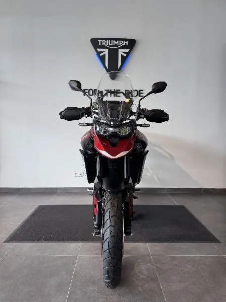 Tiger 900 Alpine Edition