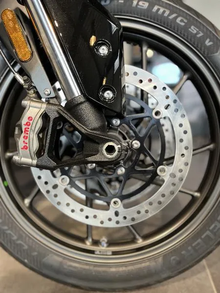 Tiger 900 Alpine Edition