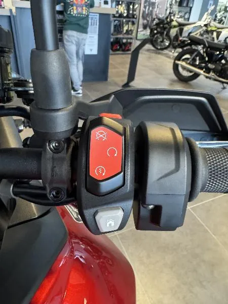 Tiger 900 Alpine Edition