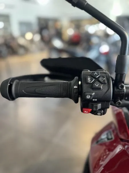 TIGER 800 TOUR