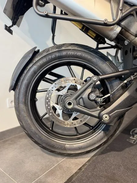 TIGER 1200 GT PRO