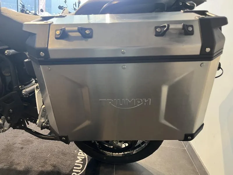 TIGER 900 RALLY PRO