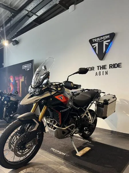 TIGER 900 RALLY PRO