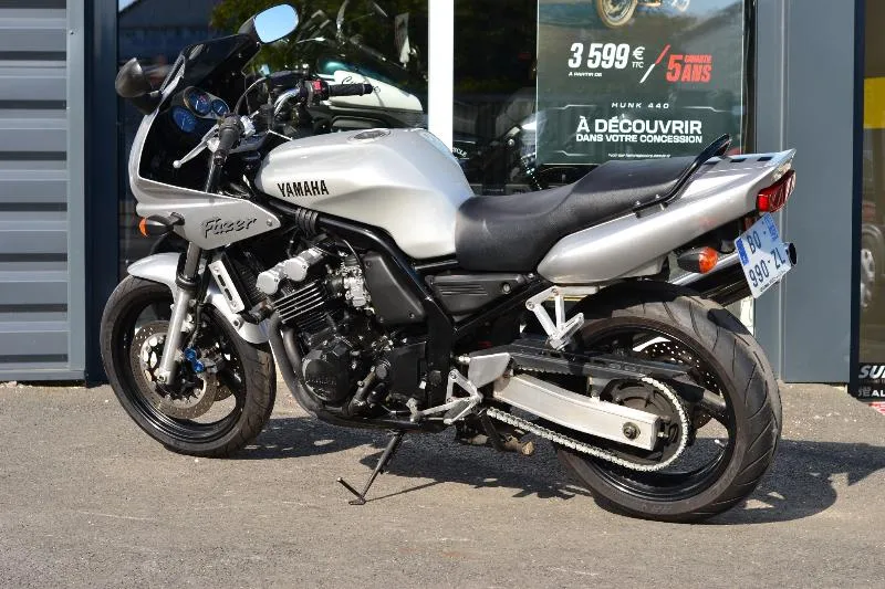 FZS FAZER