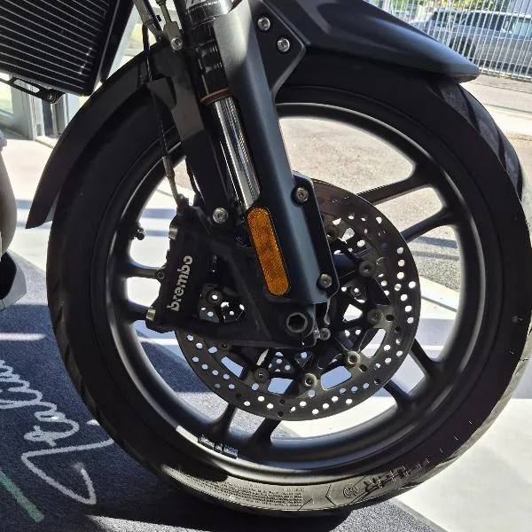 TIGER 1200 ALPINE EDITION