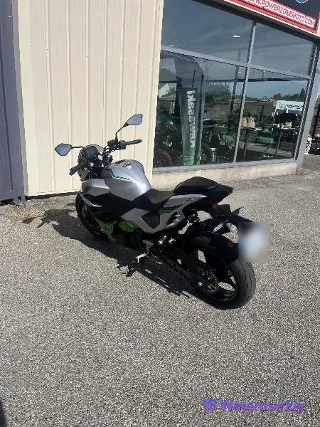 Z7 HYBRID