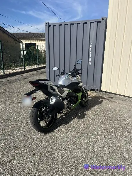 Z7 HYBRID