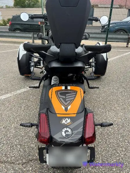 RYKER 900