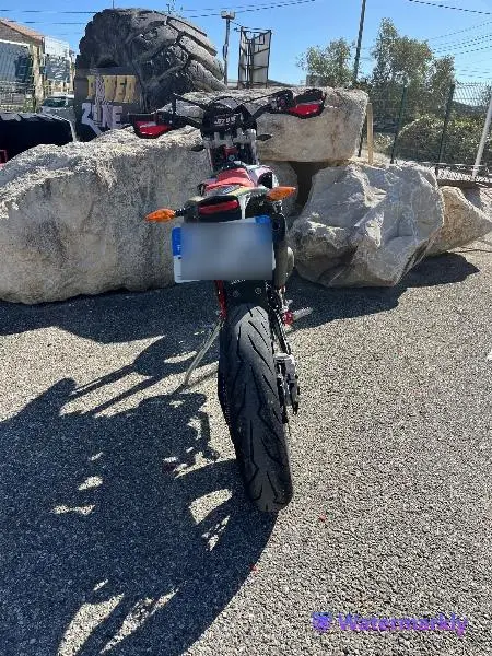 RR 50 SPORT