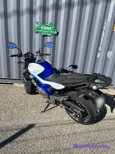 GLADIUS 650