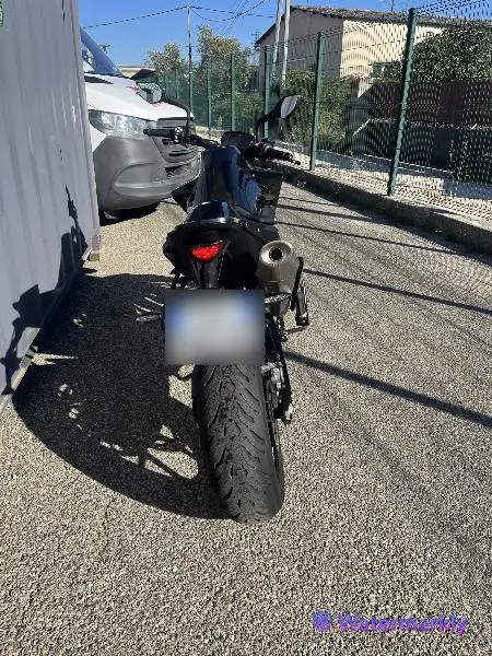 890 DUKE L
