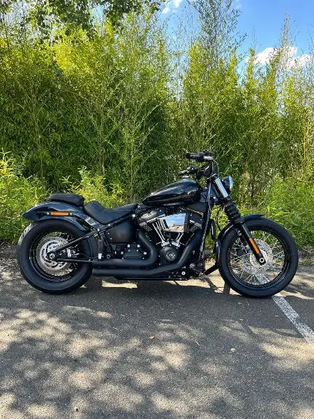 SOFTAIL STREET BOB 1745