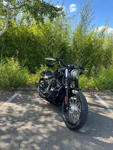 SOFTAIL STREET BOB 1745