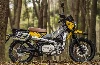 Leten LT190 2026