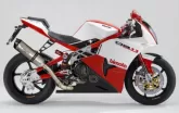 Motorcycle Bimota DB11 VLX 1198 2013