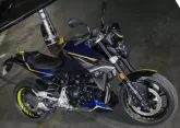 Motorcycle BMW F 900 R Force 2021
