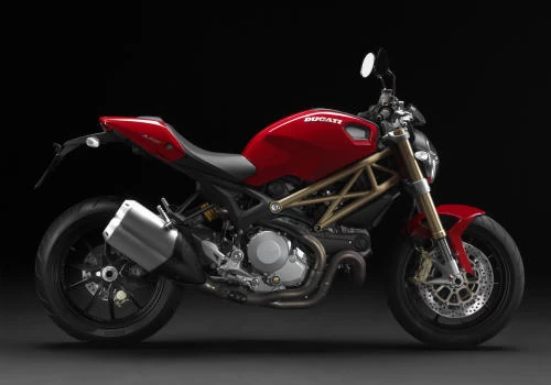 Foto de perfil del 1100 MONSTER evo 2013 en color indefinido.