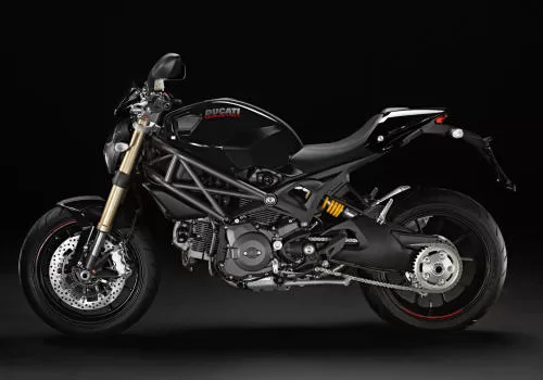 Foto de perfil del 1100 MONSTER evo 2013 en color indefinido.