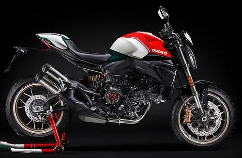 Profile photo of Monster Collezione 100 2026 in color vert blanc rouge italie.