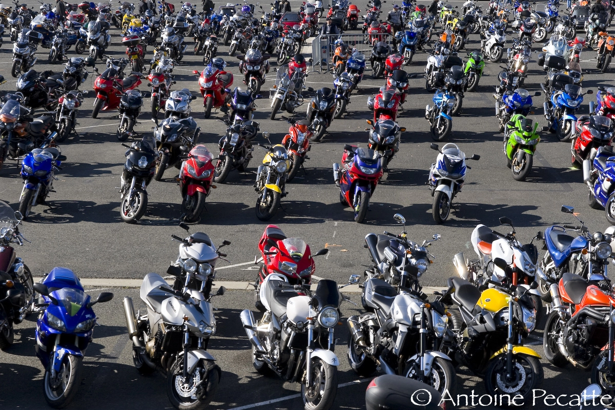 Albi 18-octobre | image 107